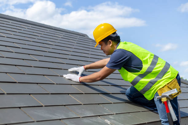 Best Roof Gutter Cleaning  in Palacios, TX