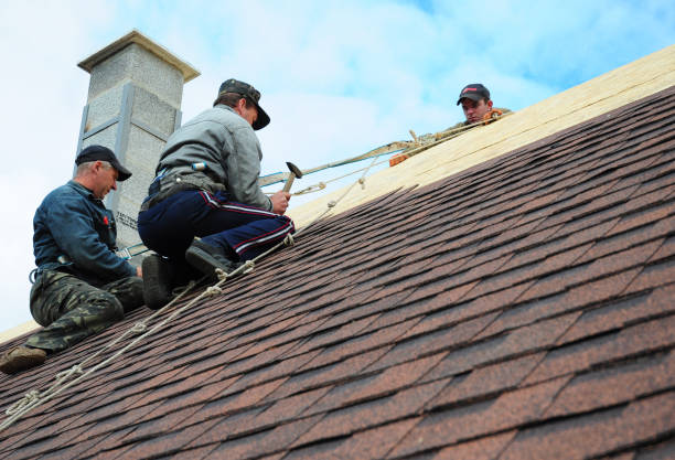 Quick and Trustworthy Emergency Roof Repair Services in Palacios, TX